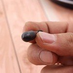12pcs Archery Field Tips for Crossbow Bolts