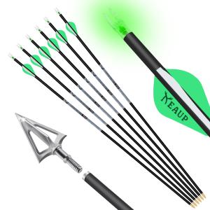 31" Carbon Arrows and Broadheads Set, 6 Pack