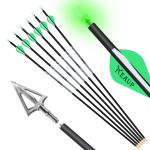 31" Carbon Arrows and Broadheads Set, 6 Pack