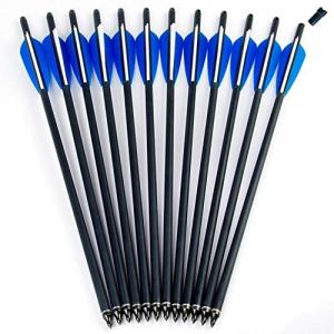 GPP 20" Carbon Crossbow Bolts with Tips - 12PC