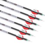 KEAUP 31" Carbon Arrows with Lighted Nocks