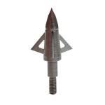 125 Grain Fixed Blade Broadheads with Case