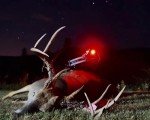 CosiComu Green Lighted Nocks for Crossbows - 6 Pack