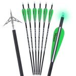 KEAUP 20" Carbon Crossbow Bolts with Broadheads, 6-Pack
