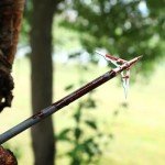 KEAUP 20" Carbon Crossbow Bolts with Broadheads, 6-Pack
