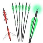 20-Inch Carbon Crossbow Bolts with Broadheads & Nocks
