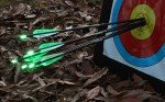 20-Inch Carbon Crossbow Bolts with Broadheads & Nocks