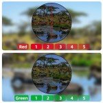 3-9x40 AO Scope with Red/Green Illumination