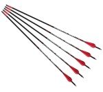 Barnett Hyperflite 22" Red/White Crossbow Arrows
