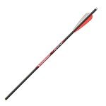 Bloodsport Hunter 22" Crossbow Bolts with Vanes - 6PK