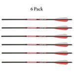 Bloodsport Hunter 22" Crossbow Bolts with Vanes - 6PK