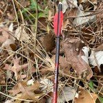 Bloodsport Hunter 22" Crossbow Bolts with Vanes - 6PK