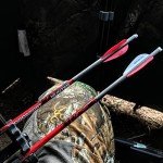 Bloodsport Hunter 22" Crossbow Bolts with Vanes - 6PK