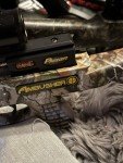 Reverse Draw Crossbows for Precision Shooting