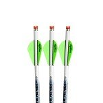Excalibur ProFlight 16.5" Illuminated Carbon Arrows - 3 Pack