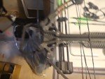 Barnett Whitetail Crossbow with Accessories