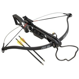 175 lb Black Hunting Crossbow with 2 Arrows