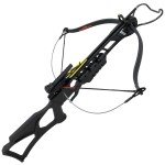 175 lb Black Hunting Crossbow with 2 Arrows