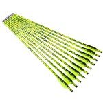 Pinals Archery 20" Camo Crossbow Bolts - 12PCS