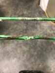 Barnett Jackal Crossbow - For Parts or Repair