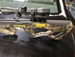 Southern Crossbow Revolt 370 Model