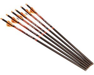 Ravin 400 Grain Carbon Crossbow Arrows - 6 Pack