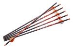 Ravin 400 Grain Carbon Crossbow Arrows - 6 Pack