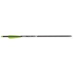 Stea Bear X 20" Truex Crossbow Arrows - 6-Pack