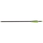 Stea Bear X 20" Truex Crossbow Arrows - 6-Pack
