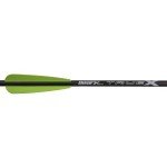 Stea Bear X 20" Truex Crossbow Arrows - 6-Pack