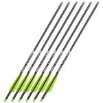 Stea Bear X 20" Truex Crossbow Arrows - 6-Pack