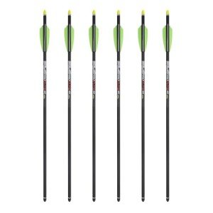Pro Elite 400 Carbon 20" Arrows with Alpha Nocks