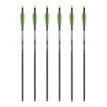 Pro Elite 400 Carbon 20" Arrows with Alpha Nocks