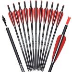 20-Inch Carbon Crossbow Bolts with 4" Vanes (12 Pack)