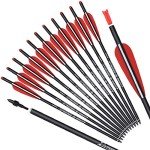 20-Inch Carbon Crossbow Bolts with 4" Vanes (12 Pack)