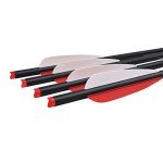 20-Inch Carbon Crossbow Bolts with 4" Vanes (12 Pack)