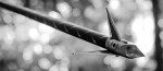 Ramcat Fulton Precision 100g Crossbow Broadheads