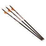Ravin R133 Lighted Carbon Crossbow Arrows