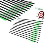 20 Inch Carbon Crossbow Bolts and Broadheads Set