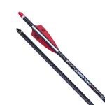 TenPoint CenterPunch HPX 20” Carbon Arrows - 6 Pack
