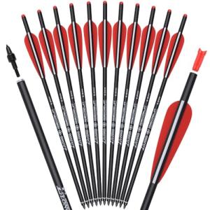 20-Inch Carbon Crossbow Bolts with 4" Vanes (12 Pack)