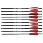 20-Inch Carbon Crossbow Bolts with 4" Vanes (12 Pack)