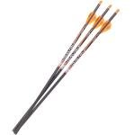 Ravin R133 Lighted 400 Grain Crossbow Arrows