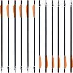 TIT-COYO 24-Pack Carbon Crossbow Bolts and Broadheads