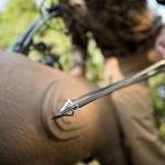 Muzzy 225-MX3-3 100 Grain Broadheads - 3 Pack