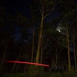 6PCS LED Lighted Nocks for Crossbow Arrows