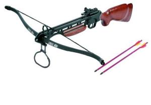 Isaazon 150lbs Reverse Draw Hunting Crossbow with 2 Arrows