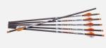 Ravin .001 400gr Crossbow Arrows - 6 Pack