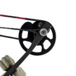 Barnett Raptor FX 330 FPS Hunting Crossbow