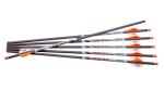 Ravin 400 Grain Carbon Crossbow Arrows - 6 Pack